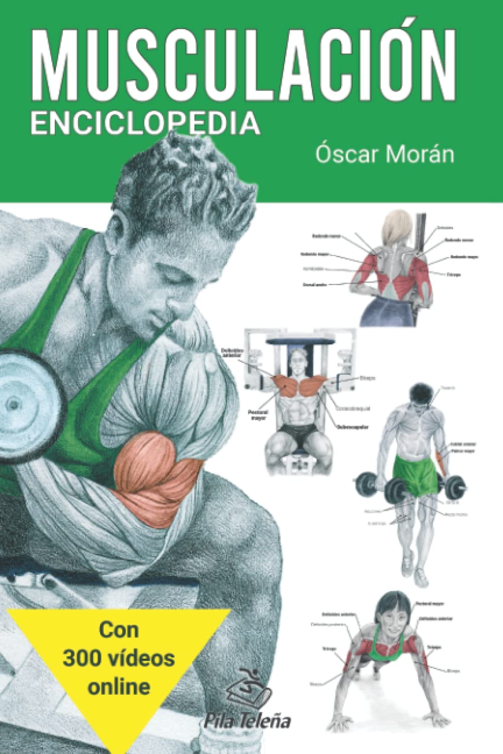 Musculación: Enciclopedia